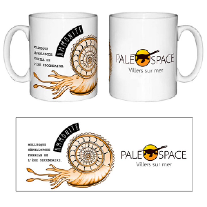 19295  Fossile Ammonite Paléospace
