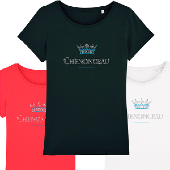 19320  Strass Château de Chenonceau