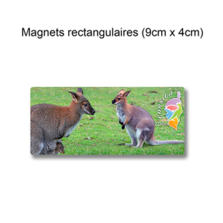 19349  2 Wallaby Zoo Corsica