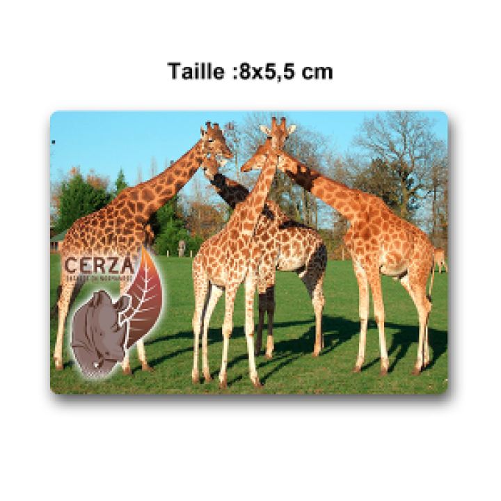 19390  Rectangulaire Girafe Cerza
