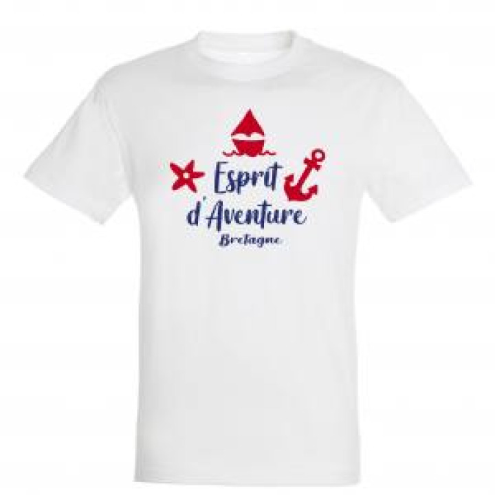 19472  Esprit Daventure Bretagne  transfert Applique Sujets