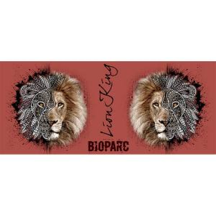 19487  Lion Natives Tribes Bioparc