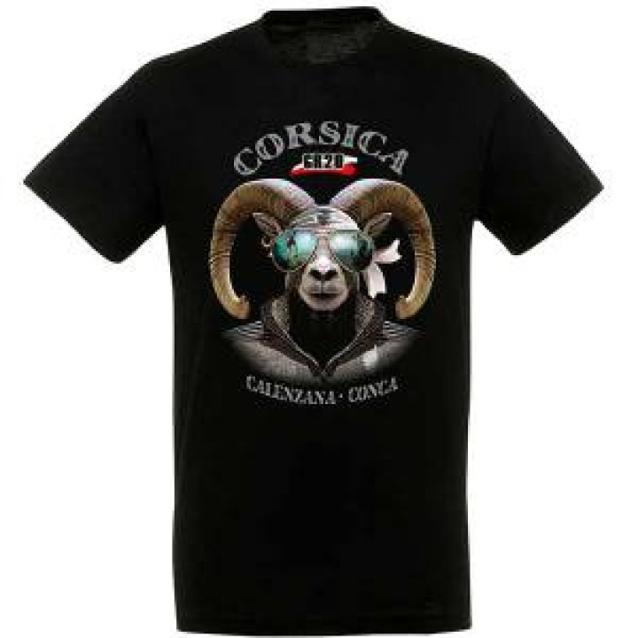 19591  Mouflon Lunettes Gr20 Corsica