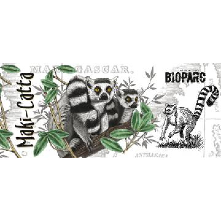 19699  Maki Catta Bioparc