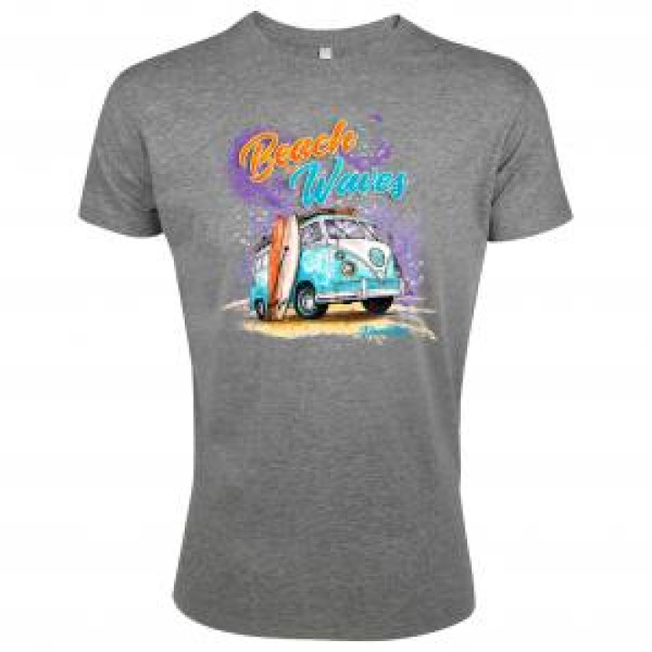 19823  Van Beach and Waves Hendaye