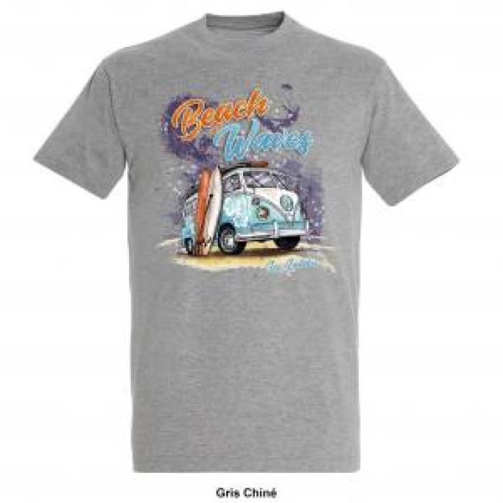 19823  Van Beach and Waves Les Landes
