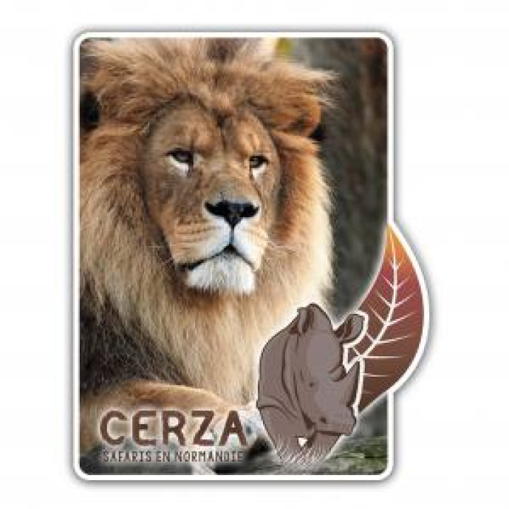 19849  Rectangulaire avec découpe Lion Cerza