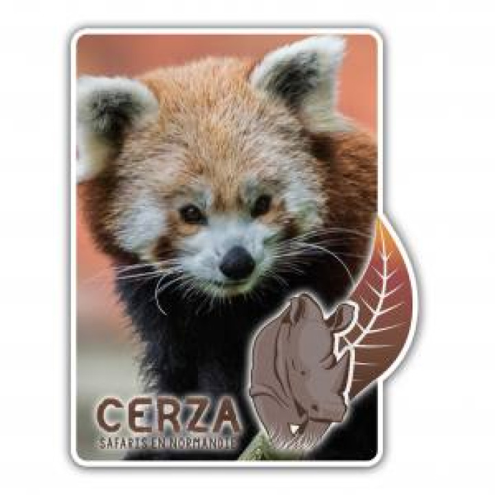 19856  Rectangulaire avec découpe Panda Roux Cerza