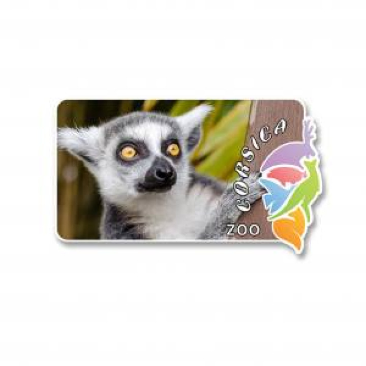 19965  Maki Corsica Zoo