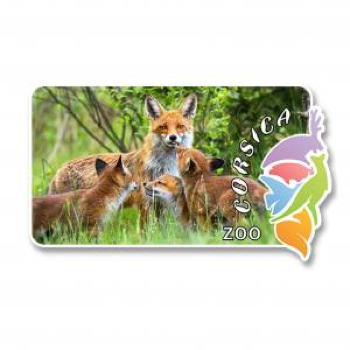 19966  Renard Corsica Zoo