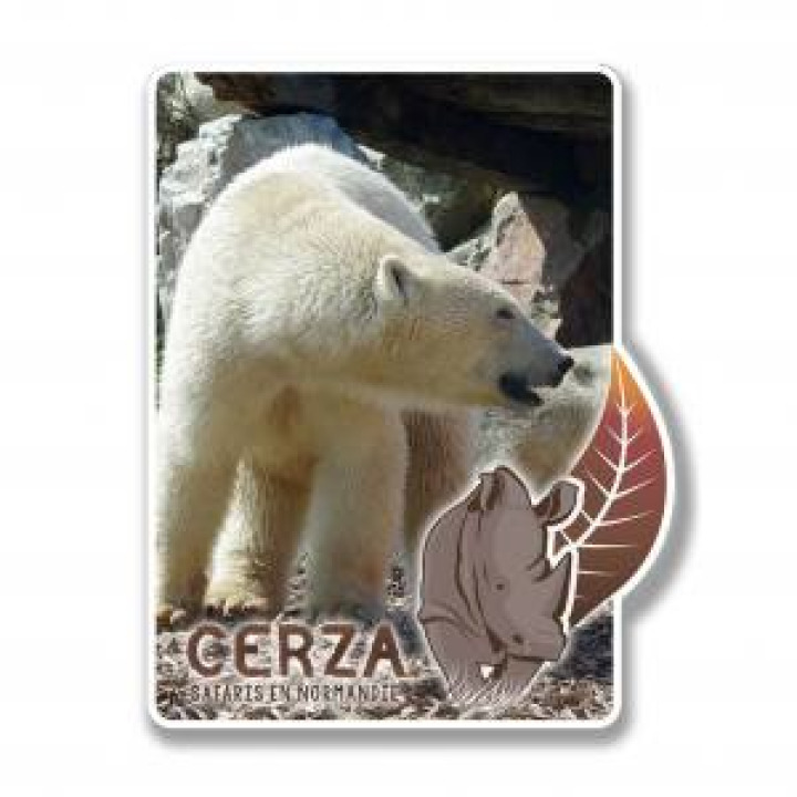 19998  Rectangulaire avec découpe Ours Blanc Cerza