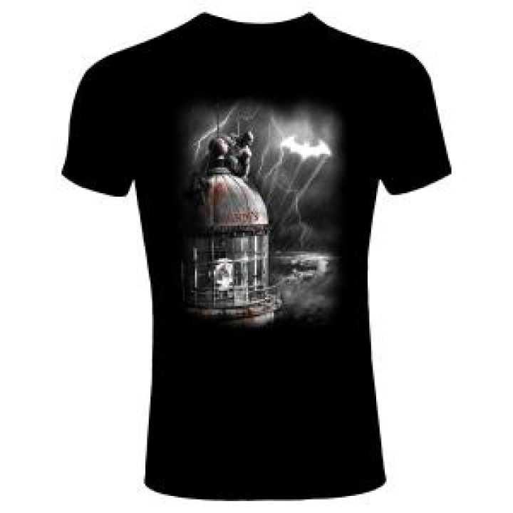 20079  Phare Batman Landes