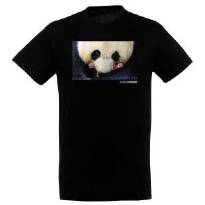 20145  Panda et Ses Bebes Zoo de Beauval Jumelle Mixte