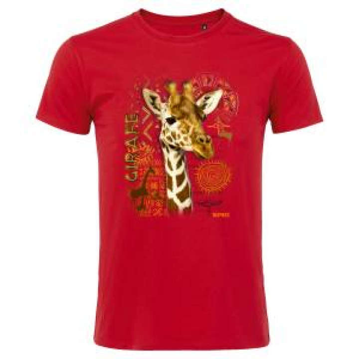 20208  Girafe Intemporel Bioparc