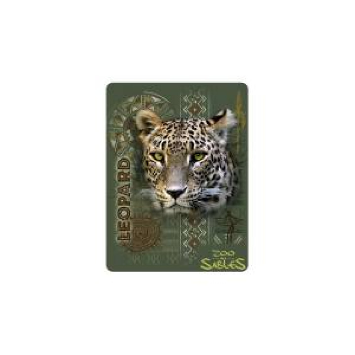 20211  Léopard Intemporel Zoo des Sables dOlonne
