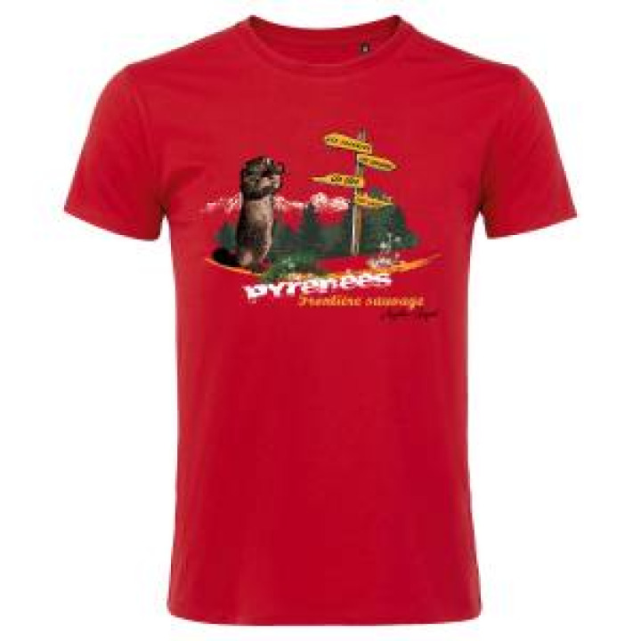 20297  Marmotte avec Panneaux Argelès Gazost