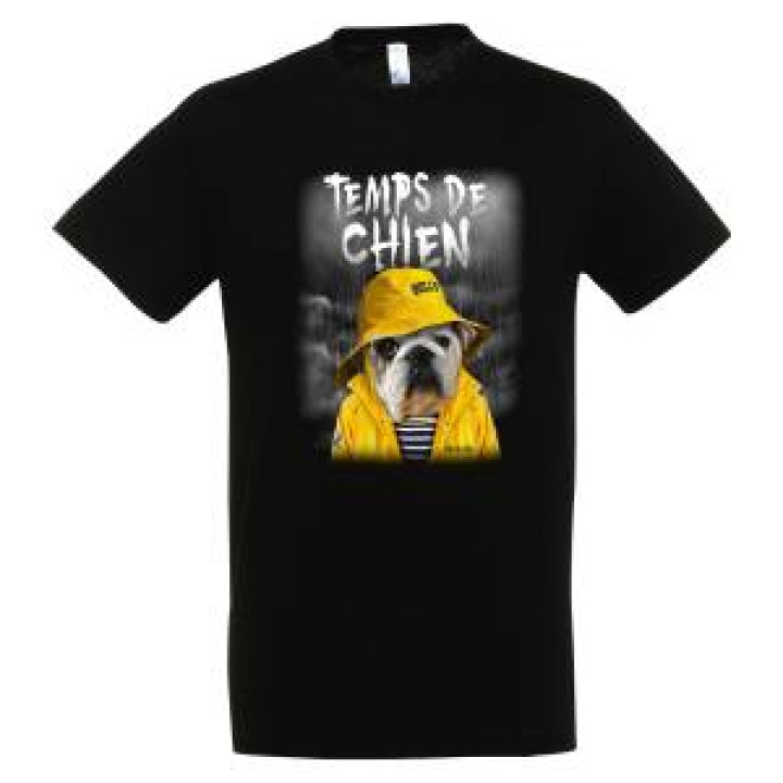 20455  Temps de Chien Belle Île en Mer