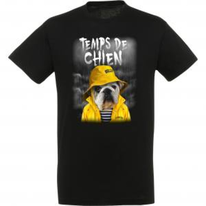 20455  Temps de Chien Capbreton