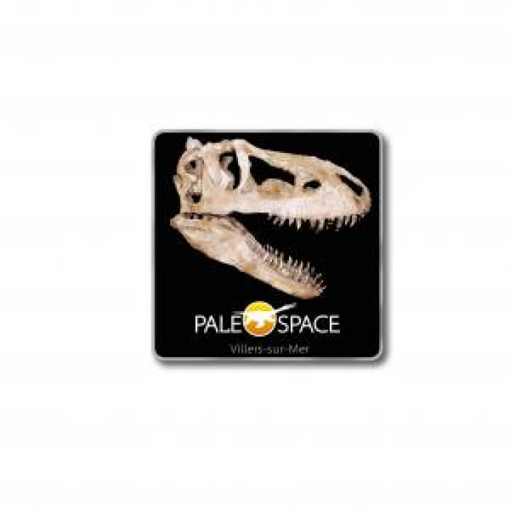 20868  Crâne TRex