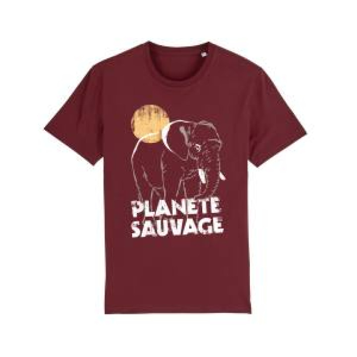 20885  Éléphant Planète Sauvage