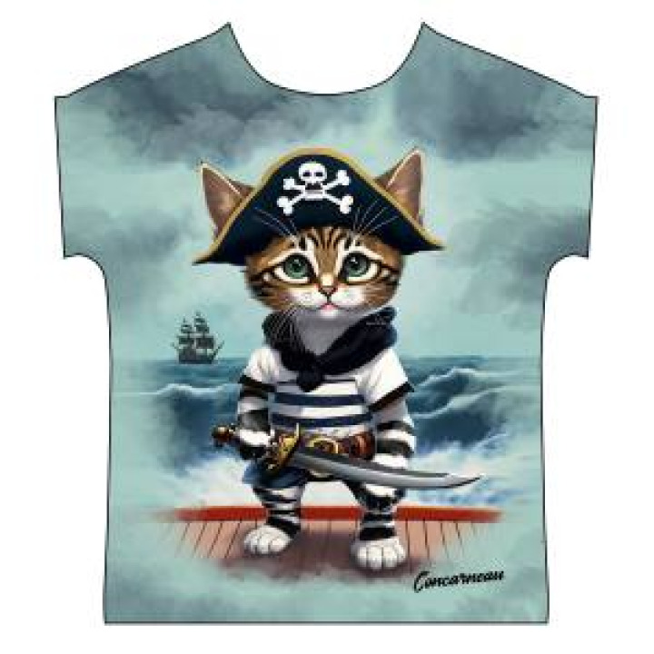20937  Chat Pirate Concarneau