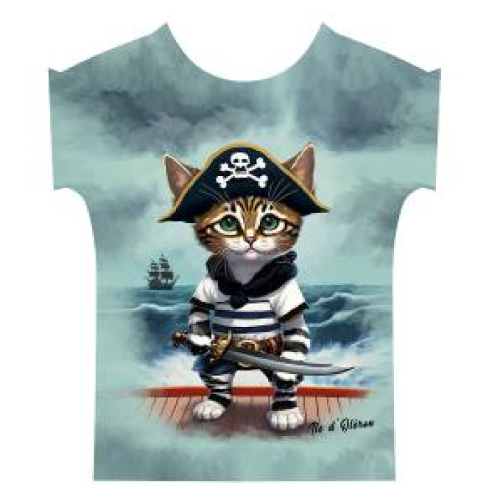 20937  Chat Pirate Île dOléron
