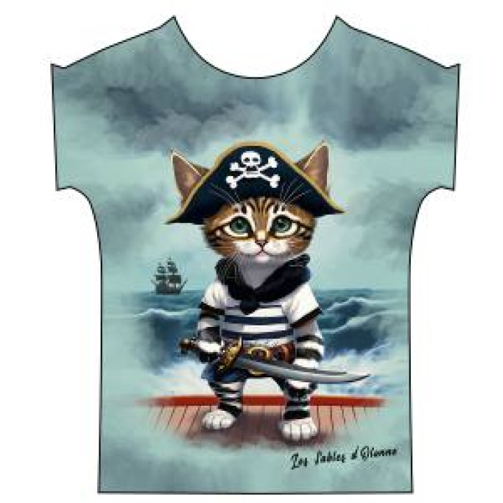 20937  Chat Pirate les Sables dOlonne