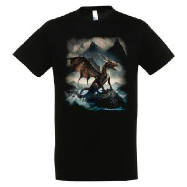 20940  Dragon Montagne Bretagne