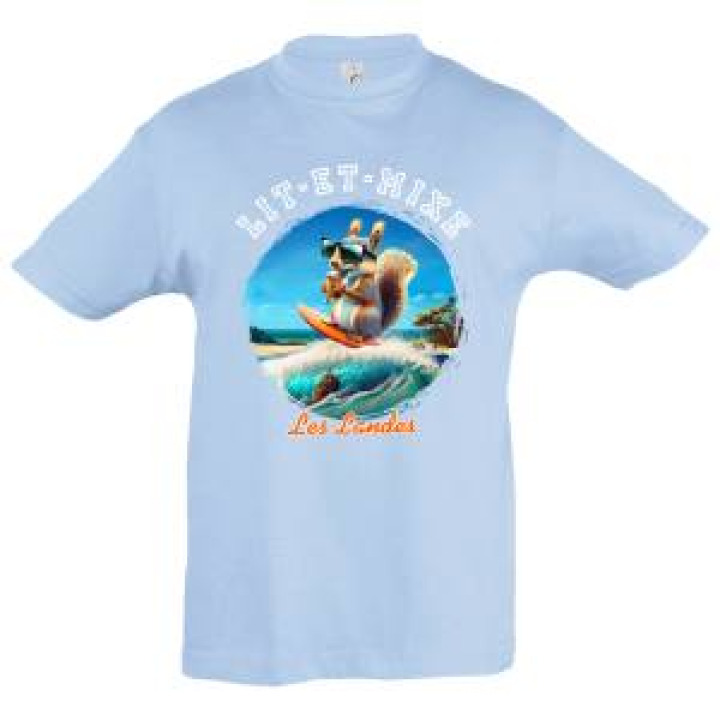 21005  Ecureuil Surfeur Lit et Mixe Les Landes