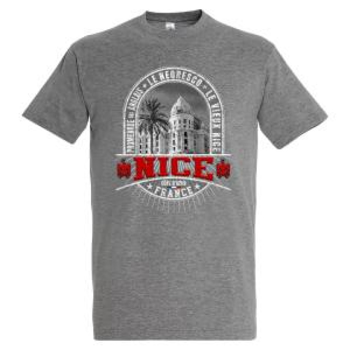 30373  Blason Nice