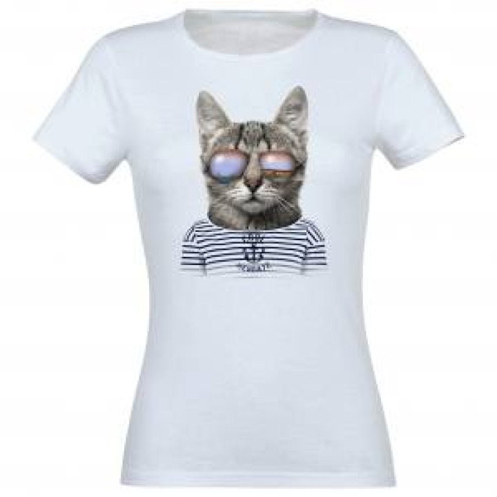 4740  Chat Lunettes Hendaye