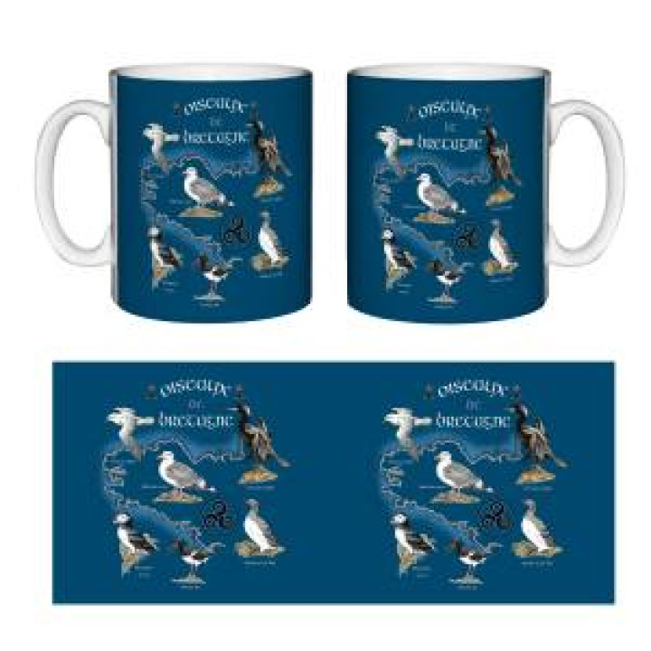9415  Oiseaux de Bretagne