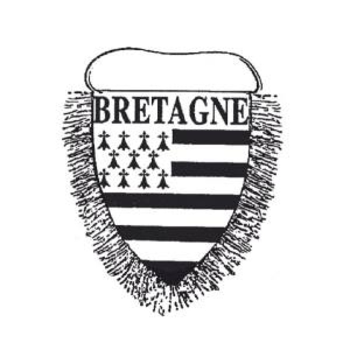 BA5132  Fanion Drapeau Ba5132