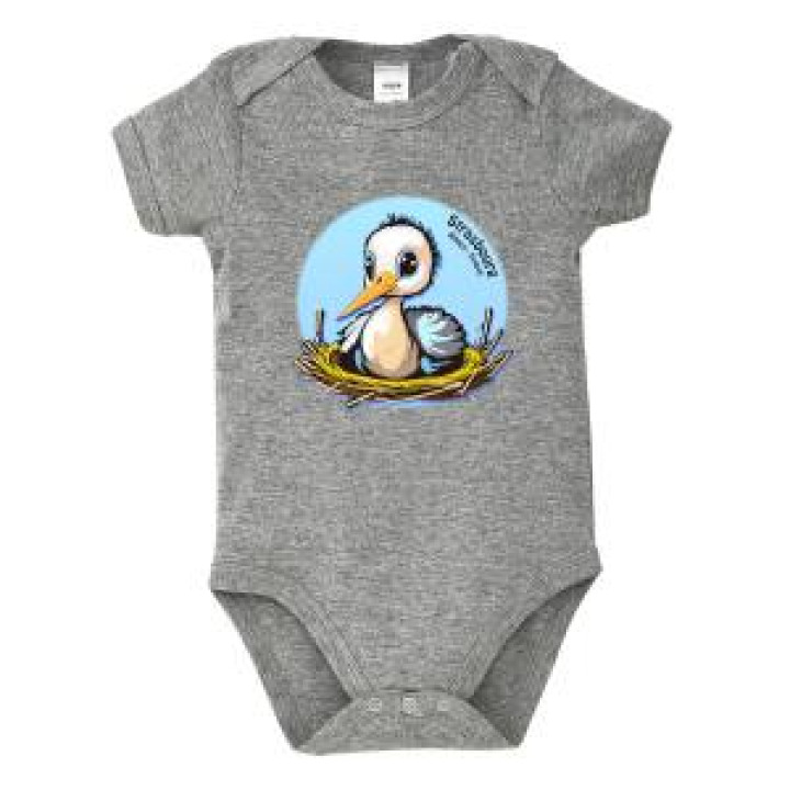 Body bébé Transfert Cigogne Garçon dans Son Nid Strasbourg Alsace France Aqua 612 mois