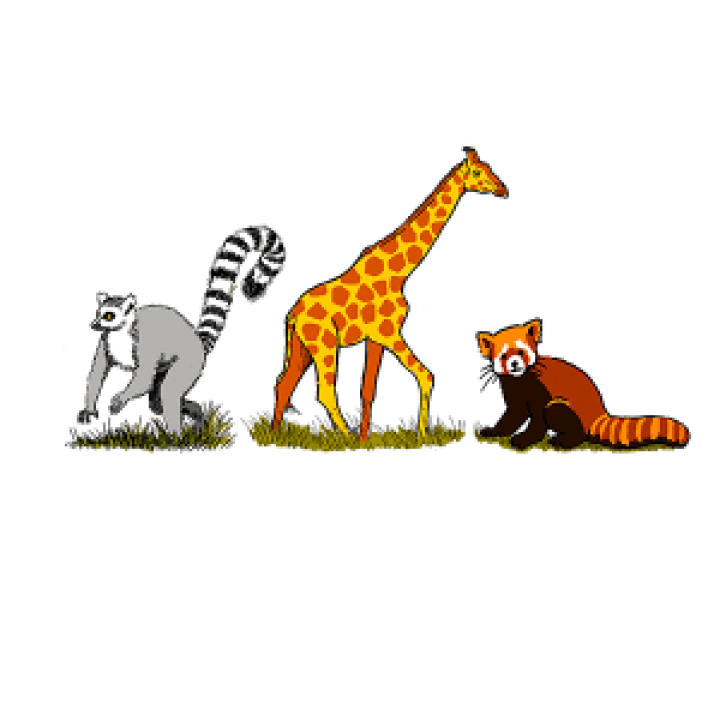 Casquette enfant 5 panneaux E1140 Ref 28239 Lémurien Girafe Panda Roux  transfert Champrepus Ble