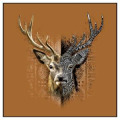 Coussin all-over Cerf Native Tribes Fond Orange Rouille uni 40 x 40