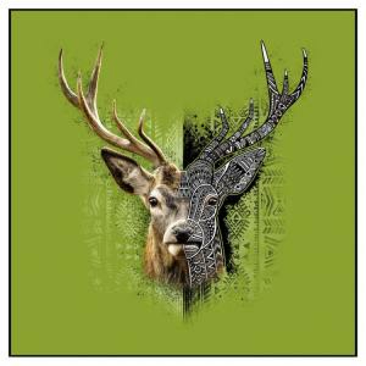 Coussin all-over Cerf Native Tribes Fond Vert Anis uni 40 x 40