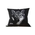 Coussin all-over Loup Gamme Black Alpha Parc Animalier (Palatine) uni 40 x 40