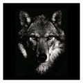 Coussin all-over Sublimation Loup Gamme Black (Palitine) uni 40 x 40