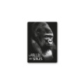 Magnet Gorille la Vallée des Singes Blanc Taille unique