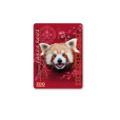 Magnet Panda Roux Intemporel Zoo de Jurques Blanc Taille unique