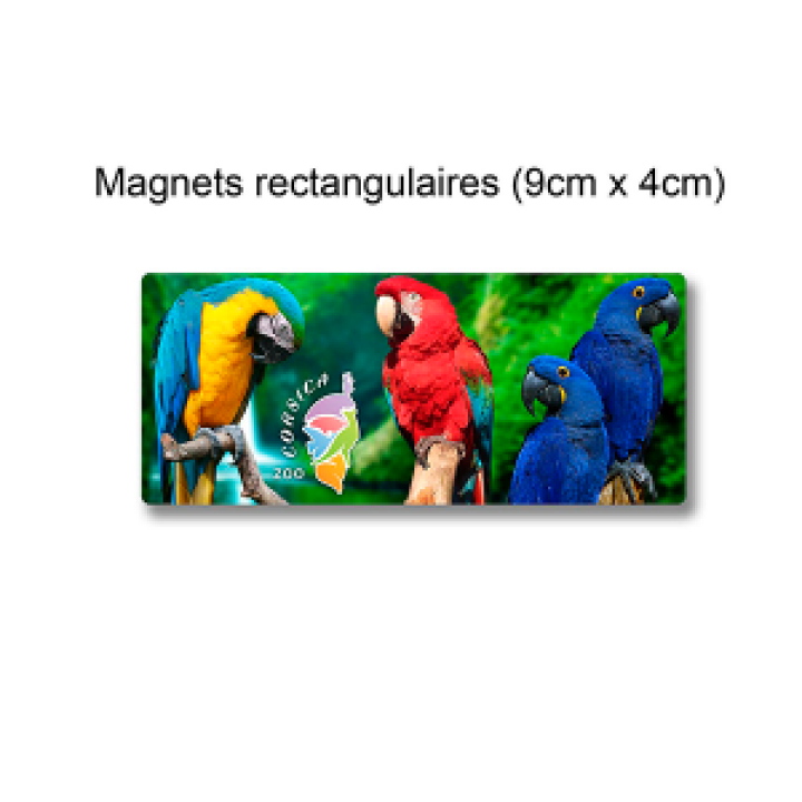 Magnet Perroquets Ara Zoo Corsica Blanc Taille unique