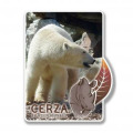 Magnet Rectangulaire avec d&eacute;coupe Ours Blanc Cerza Blanc Taille unique