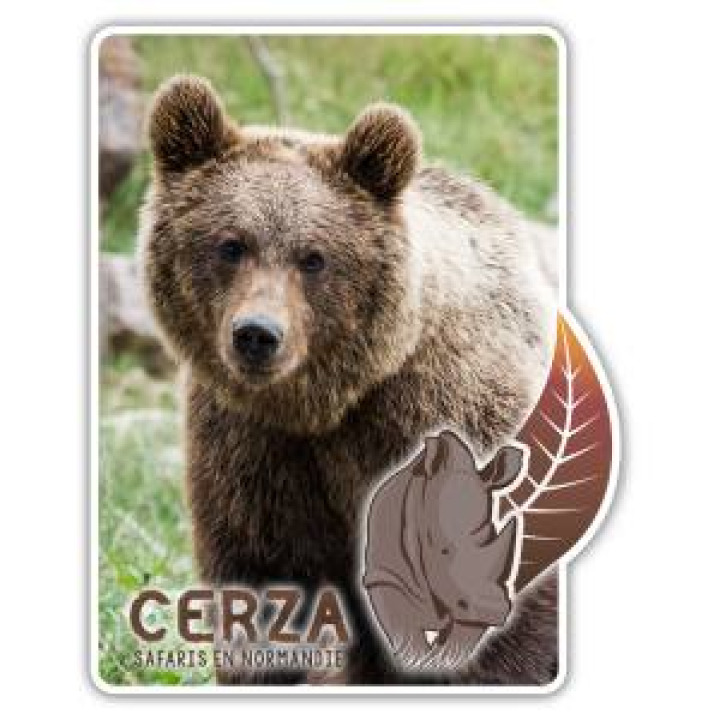 Magnet Rectangulaire avec découpe Ours Brun Cerza Blanc Taille unique