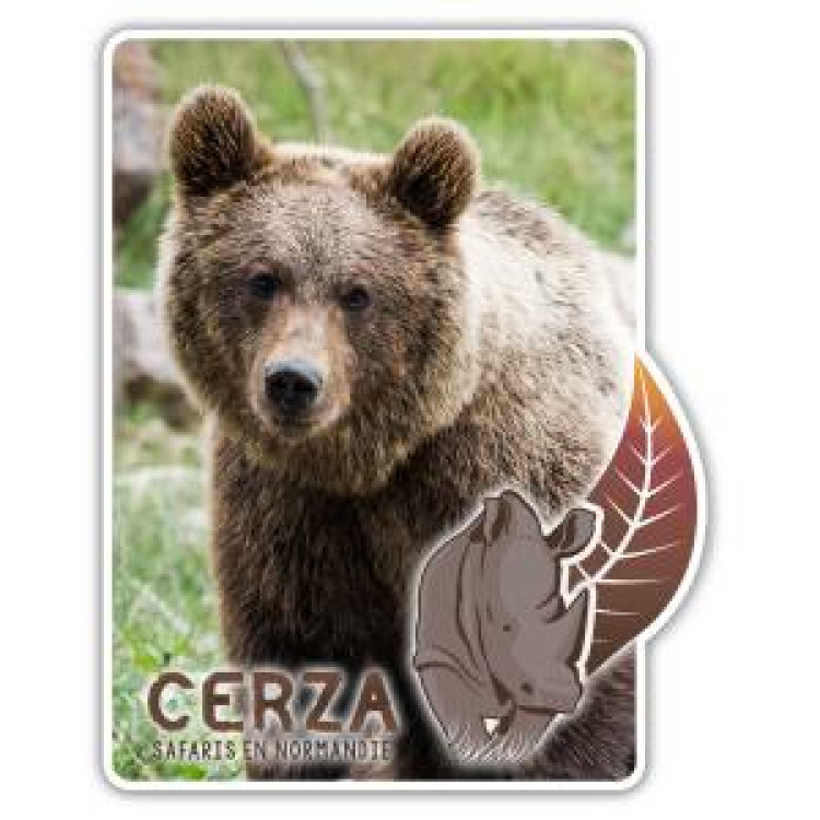 Magnet Rectangulaire avec d&eacute;coupe Ours Brun Cerza Blanc Taille unique