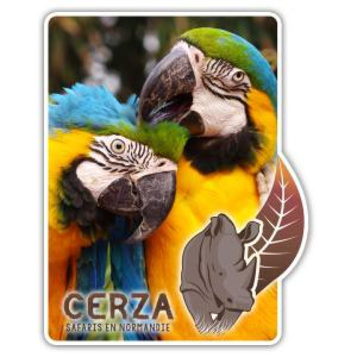 Magnet Rectangulaire avec découpe Perroquet Ara Cerza Blanc Taille unique