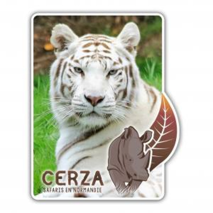 Magnet Rectangulaire avec découpe Tigre Blanc Cerza Blanc Taille unique