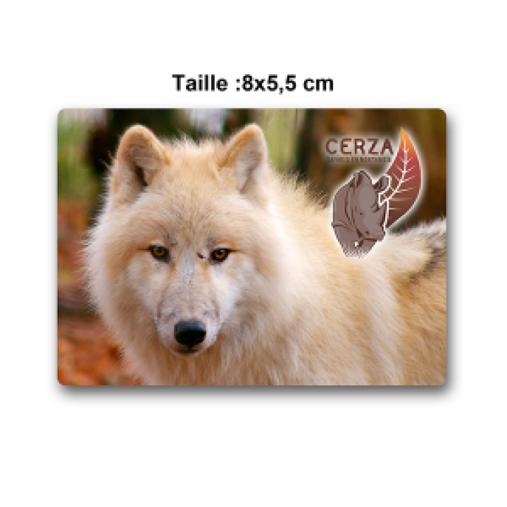 Magnet Rectangulaire Loup Blanc Cerza Blanc Taille unique