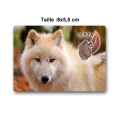 Magnet Rectangulaire Loup Blanc Cerza Blanc Taille unique