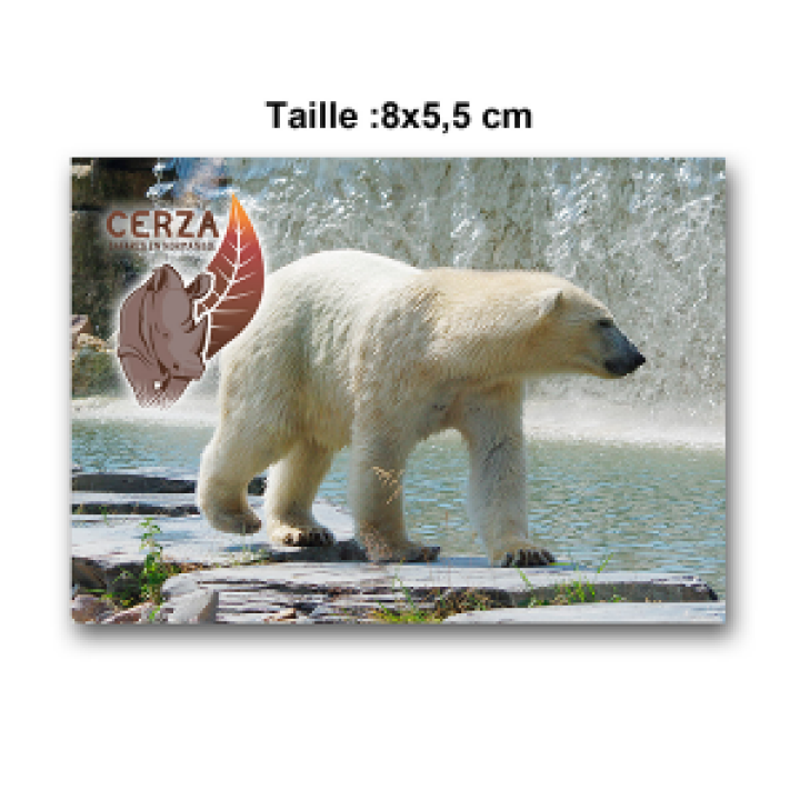 Magnet Rectangulaire Ours Polaire Cerza Blanc Taille unique